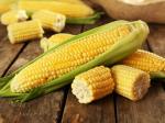 Насіння кукурудзи ( іноземна селекція Франція Laboulet )