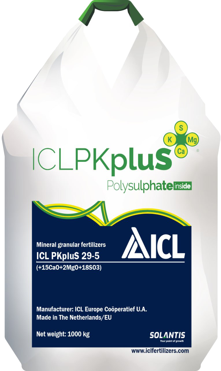 ICL PKpluS 29-5 (+2MgO+21CaO+18SO3)